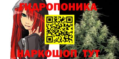 крисы Гудермес