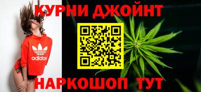 крисы Гудермес