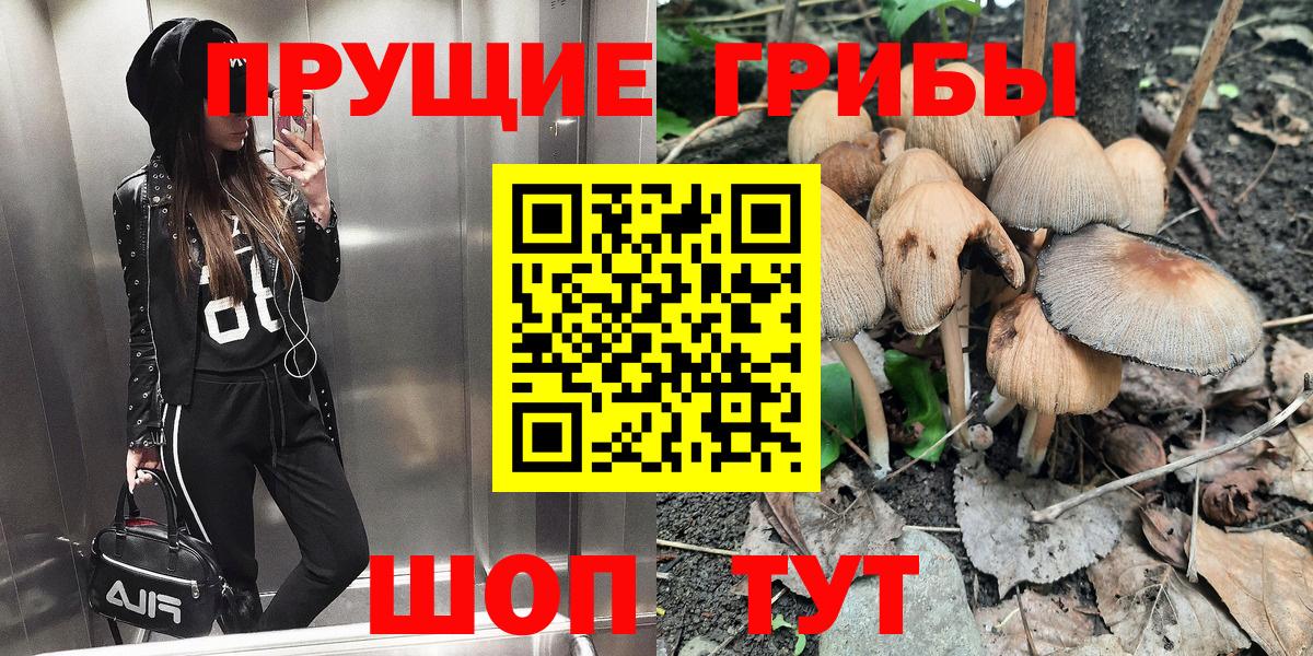 Галлюциногенные грибы MAGIC MUSHROOMS Каменка